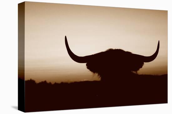 Bull Set Sepia Crop-Nathan Larson-Stretched Canvas