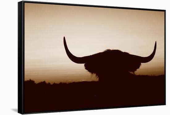 Bull Set Sepia Crop-Nathan Larson-Framed Stretched Canvas