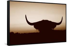 Bull Set Sepia Crop-Nathan Larson-Framed Stretched Canvas