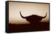 Bull Set Sepia Crop-Nathan Larson-Framed Stretched Canvas