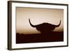 Bull Set Sepia Crop-Nathan Larson-Framed Photographic Print