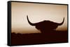 Bull Set Sepia Crop-Nathan Larson-Framed Stretched Canvas