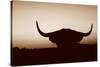 Bull Set Sepia Crop-Nathan Larson-Stretched Canvas