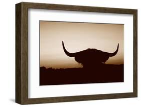 Bull Set Sepia Crop-Nathan Larson-Framed Photographic Print