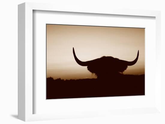 Bull Set Sepia Crop-Nathan Larson-Framed Photographic Print