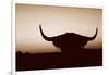 Bull Set Sepia Crop-Nathan Larson-Framed Photographic Print