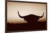 Bull Set Sepia Crop-Nathan Larson-Framed Photographic Print