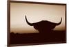 Bull Set Sepia Crop-Nathan Larson-Framed Photographic Print