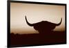 Bull Set Sepia Crop-Nathan Larson-Framed Photographic Print