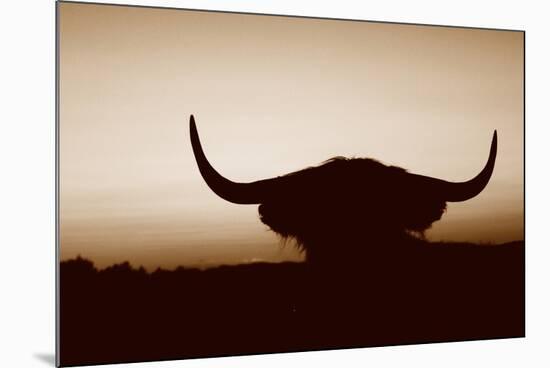 Bull Set Sepia Crop-Nathan Larson-Mounted Photographic Print