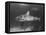 Bull Shark-Peter Stackpole-Framed Stretched Canvas