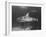 Bull Shark-Peter Stackpole-Framed Photographic Print