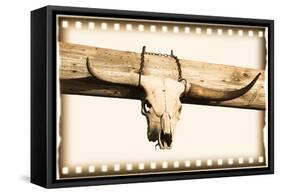 Bull Skull-null-Framed Stretched Canvas