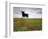 Bull Statue, Toros De Osborne, Andalucia, Spain-Gavin Hellier-Framed Photographic Print