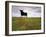 Bull Statue, Toros De Osborne, Andalucia, Spain-Gavin Hellier-Framed Photographic Print