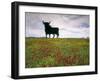 Bull Statue, Toros De Osborne, Andalucia, Spain-Gavin Hellier-Framed Photographic Print