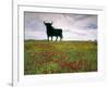 Bull Statue, Toros De Osborne, Andalucia, Spain-Gavin Hellier-Framed Photographic Print