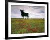 Bull Statue, Toros De Osborne, Andalucia, Spain-Gavin Hellier-Framed Photographic Print