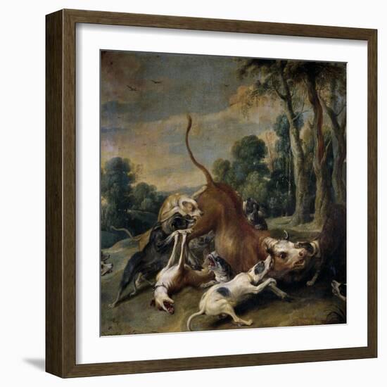 Bull Surrendered by Dogs, Flemish School-Frans Snyders-Framed Giclee Print