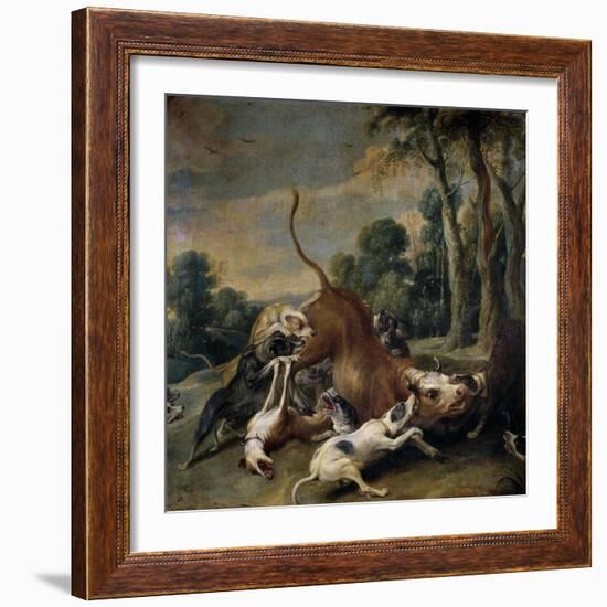 Bull Surrendered by Dogs, Flemish School-Frans Snyders-Framed Giclee Print