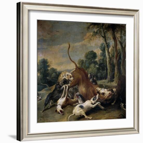 Bull Surrendered by Dogs, Flemish School-Frans Snyders-Framed Giclee Print