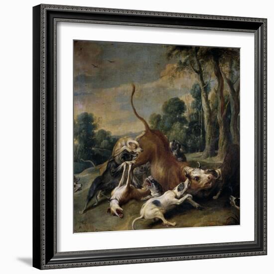 Bull Surrendered by Dogs, Flemish School-Frans Snyders-Framed Giclee Print