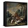 Bull Surrendered by Dogs, Flemish School-Frans Snyders-Framed Stretched Canvas