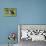 Bull Terrier 01-Bob Langrish-Photographic Print displayed on a wall