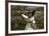 Bull Terrier 05-Bob Langrish-Framed Photographic Print