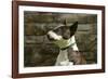 Bull Terrier 05-Bob Langrish-Framed Photographic Print