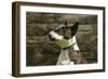 Bull Terrier 05-Bob Langrish-Framed Photographic Print