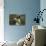 Bull Terrier 05-Bob Langrish-Photographic Print displayed on a wall