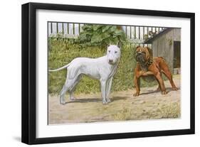 Bull Terrier and English Bulldog-null-Framed Art Print