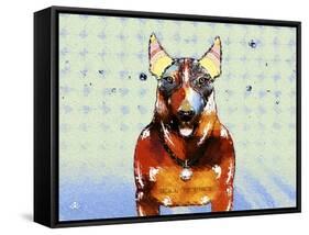 Bull Terrier Brown Oxide LX-Fernando Palma-Framed Stretched Canvas