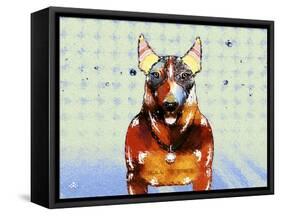 Bull Terrier Brown Oxide LX-Fernando Palma-Framed Stretched Canvas