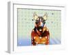 Bull Terrier Brown Oxide LX-Fernando Palma-Framed Giclee Print