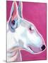 Bull Terrier - Bubble Gum-Dawgart-Mounted Giclee Print