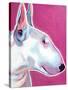 Bull Terrier - Bubble Gum-Dawgart-Stretched Canvas