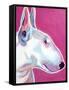 Bull Terrier - Bubble Gum-Dawgart-Framed Stretched Canvas