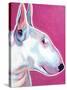 Bull Terrier - Bubble Gum-Dawgart-Stretched Canvas