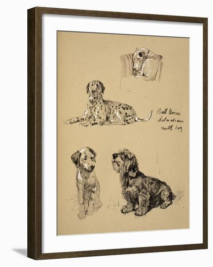 Bull Terrier, Dalmatians and Mutt Dog, 1930, Just Among Friends, Aldin, Cecil Charles Windsor-Cecil Aldin-Framed Giclee Print