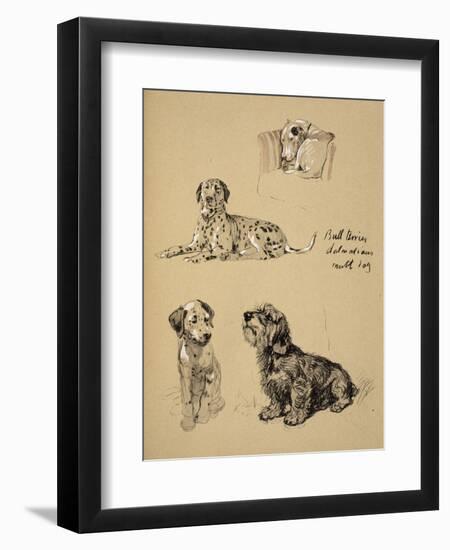 Bull Terrier, Dalmatians and Mutt Dog, 1930, Just Among Friends, Aldin, Cecil Charles Windsor-Cecil Aldin-Framed Giclee Print