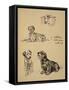 Bull Terrier, Dalmatians and Mutt Dog, 1930, Just Among Friends, Aldin, Cecil Charles Windsor-Cecil Aldin-Framed Stretched Canvas