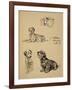 Bull Terrier, Dalmatians and Mutt Dog, 1930, Just Among Friends, Aldin, Cecil Charles Windsor-Cecil Aldin-Framed Giclee Print