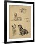 Bull Terrier, Dalmatians and Mutt Dog, 1930, Just Among Friends, Aldin, Cecil Charles Windsor-Cecil Aldin-Framed Giclee Print