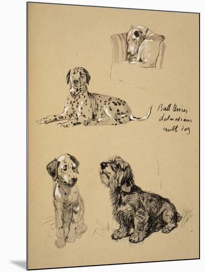 Bull Terrier, Dalmatians and Mutt Dog, 1930, Just Among Friends, Aldin, Cecil Charles Windsor-Cecil Aldin-Mounted Giclee Print