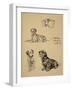 Bull Terrier, Dalmatians and Mutt Dog, 1930, Just Among Friends, Aldin, Cecil Charles Windsor-Cecil Aldin-Framed Giclee Print