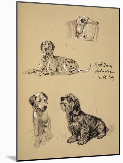 Bull Terrier, Dalmatians and Mutt Dog, 1930, Just Among Friends, Aldin, Cecil Charles Windsor-Cecil Aldin-Mounted Giclee Print
