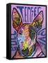 Bull Terrier Luv-Dean Russo-Framed Stretched Canvas