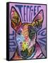 Bull Terrier Luv-Dean Russo-Framed Stretched Canvas